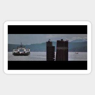 Ferry, Seagulls and Seaplane Scene, San Juan Islands, Pudget Sound, 1997 Sticker